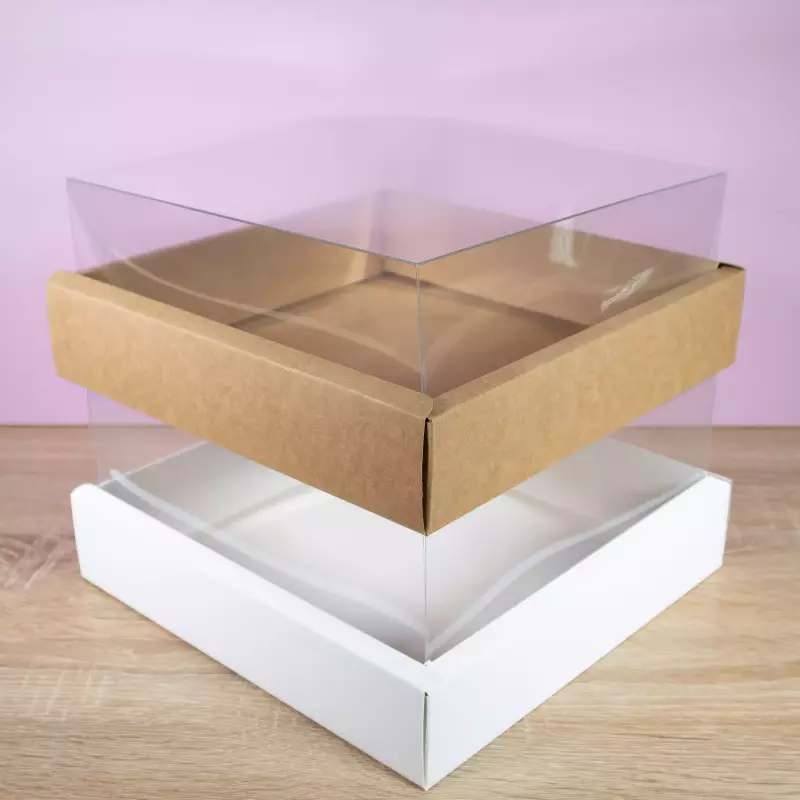 Caja con Tapa de Acetato (L) #0581