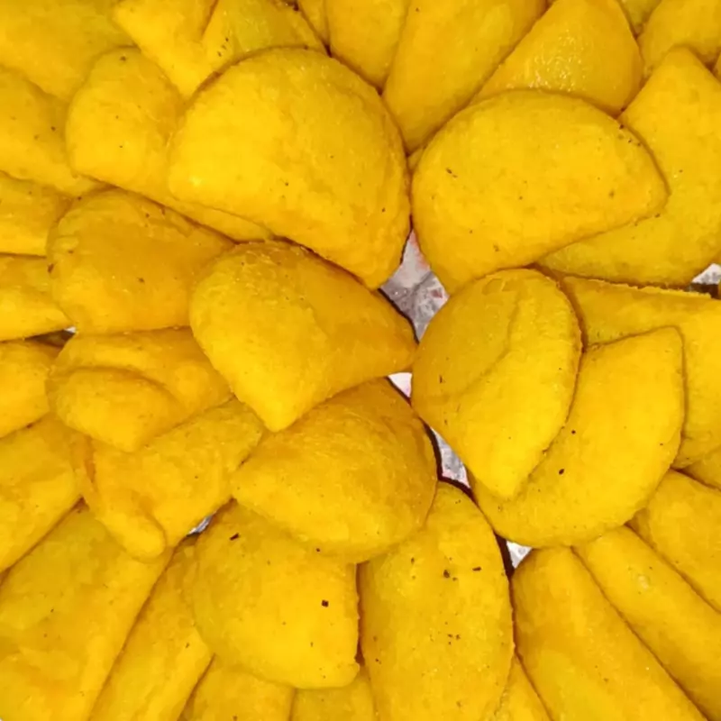 Empanadas Congeladas