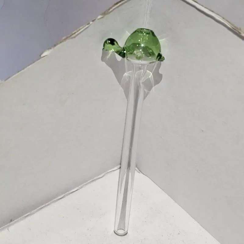 Piteira Tartaruga