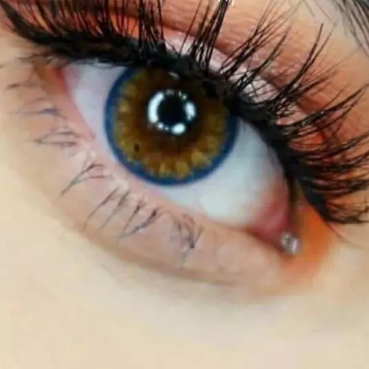 Pro indian Browm sin bordes 🌻