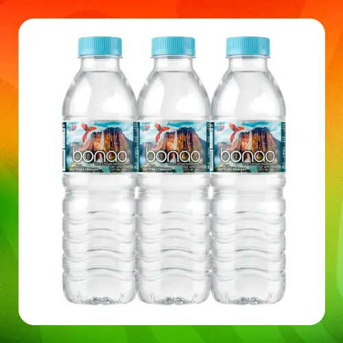 Bulto Bonao Agua 335ml