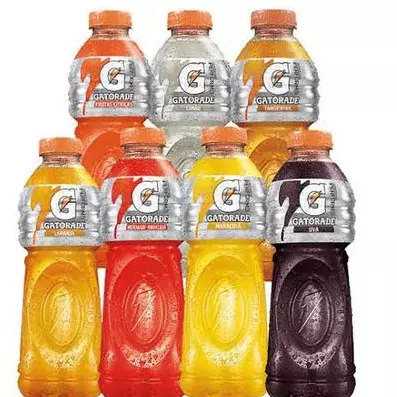 Gatoreide