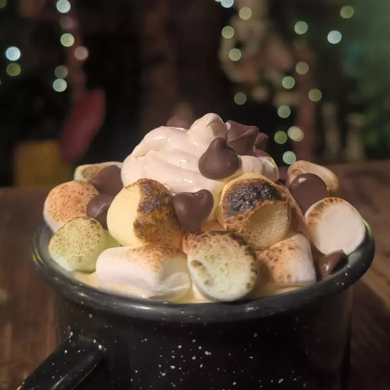 CHOCO OAXACA CON MALVAVISCOS