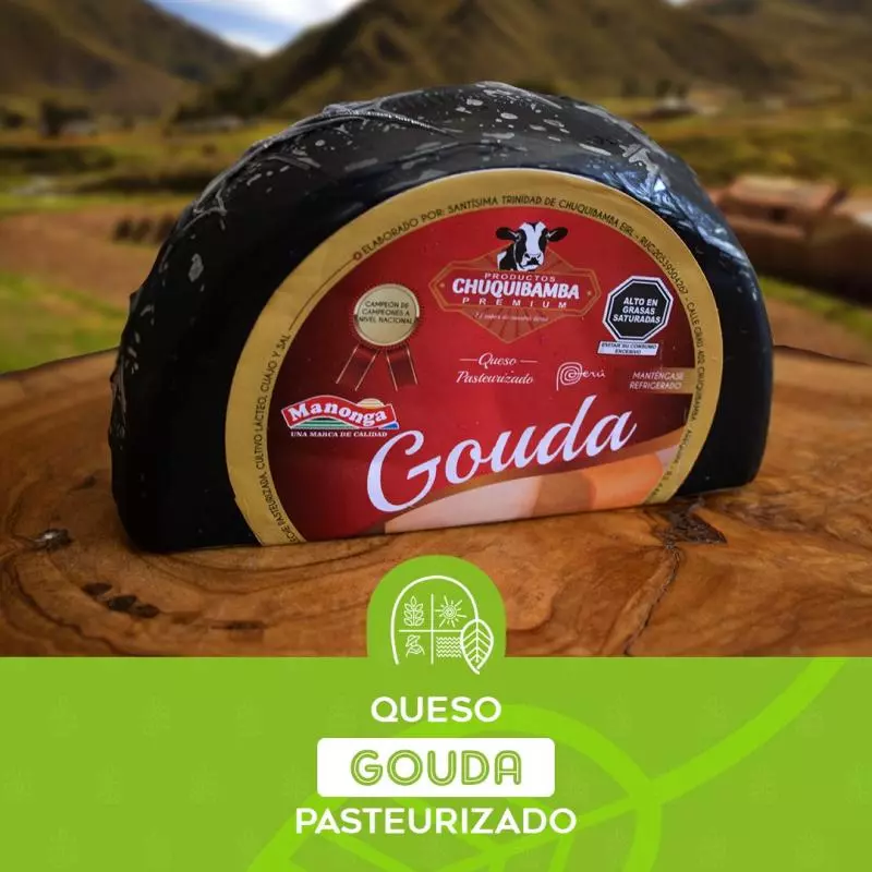 QUESOS GOUDA