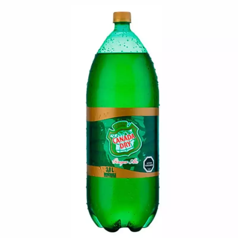 CANADA DRY 3.0 LT PET