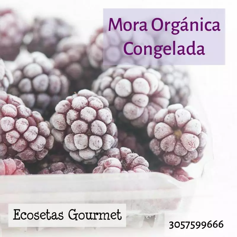 Mora Congelada x500gr