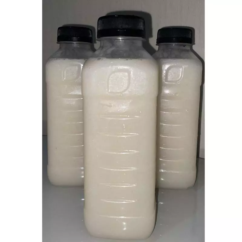 Suco Graviola 500ml