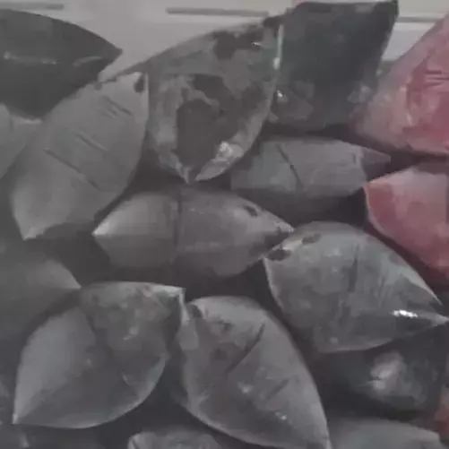 Polpa de Amora (Angelina)