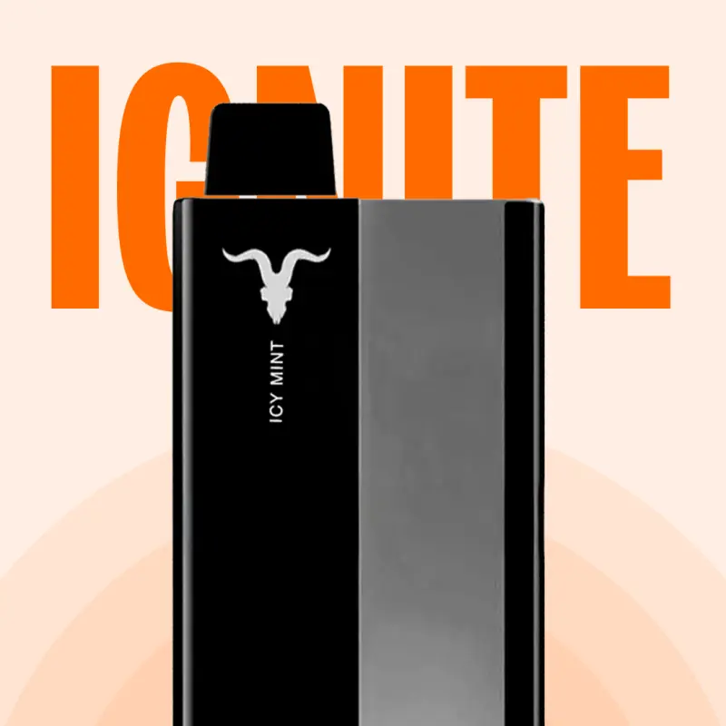 KIT P100 | 10.000 PUFF 💨