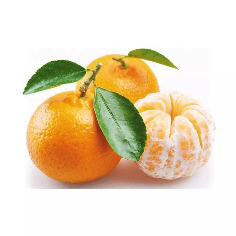 Mandarina ORG