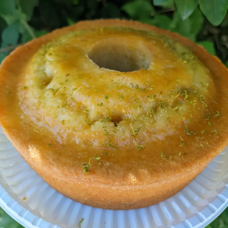 Bolo de laranja *zero lactose*
