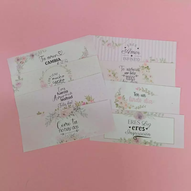 Pringle Paquete x8 madre