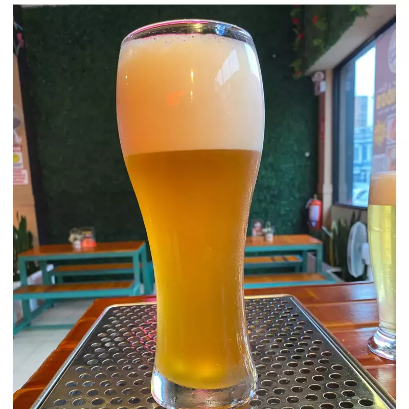 CHOPP SINVERGUENZA (PILSNER) 680 ML