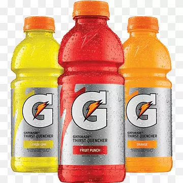 GATORADE (PRECIO EN BS)