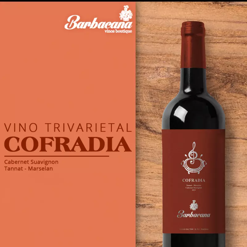 Cofradía 2019