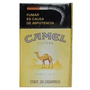 Camel