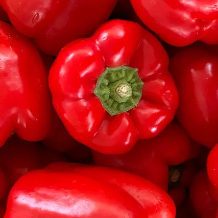 Pimiento Rojo