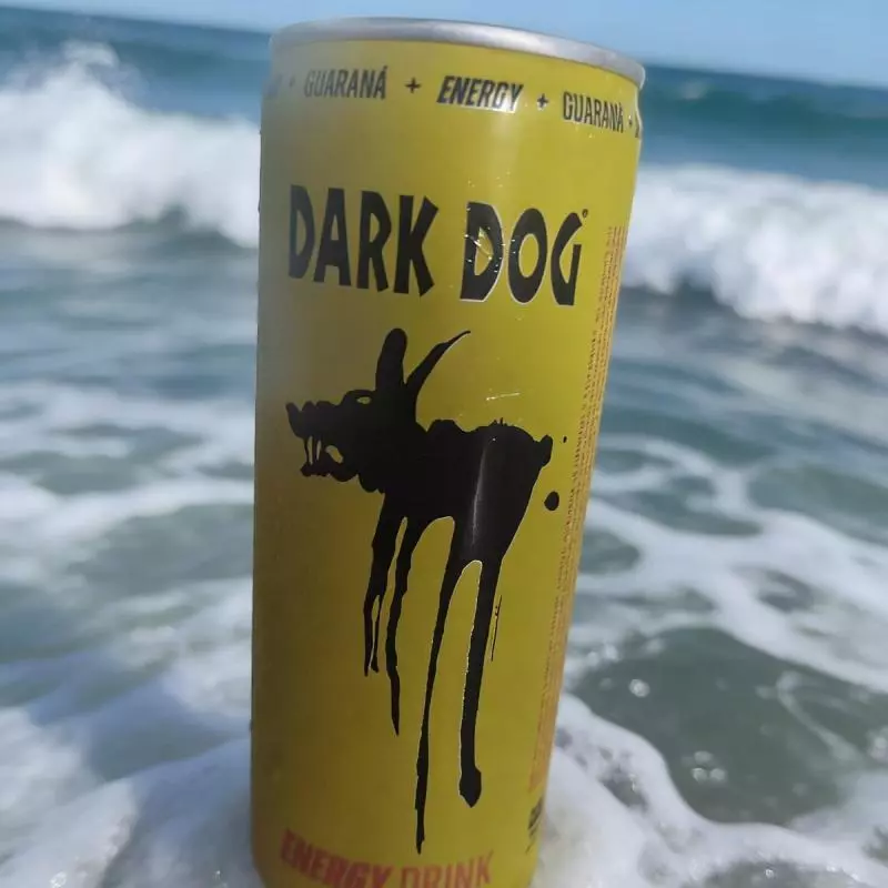 DARK DOG