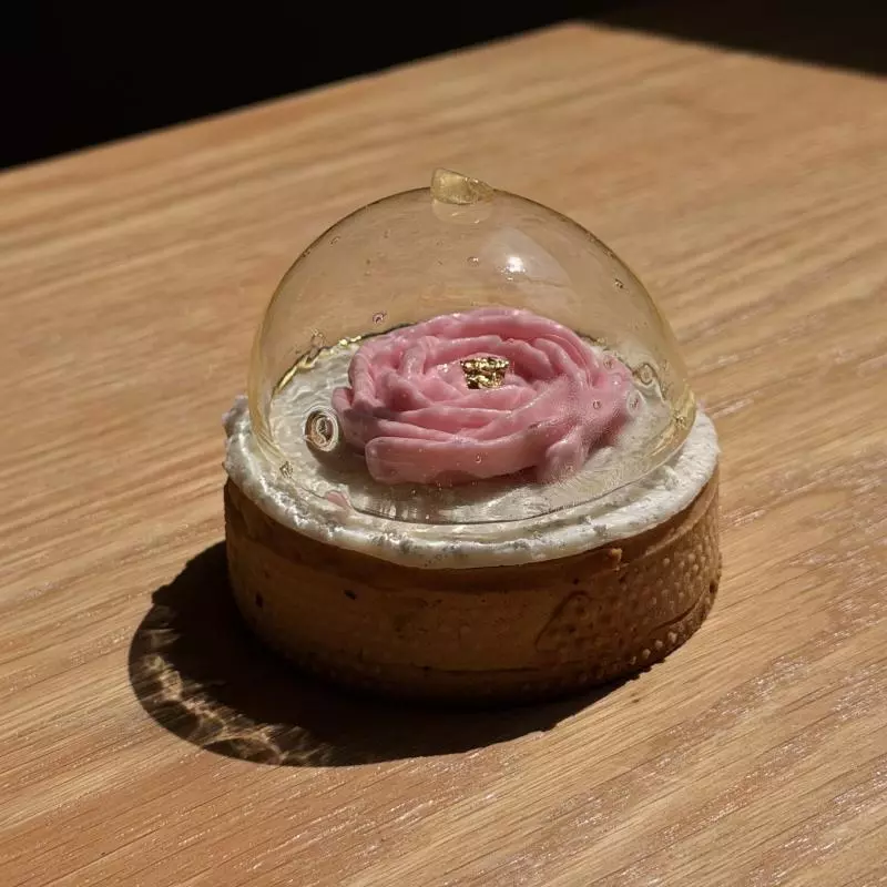 Tarta Frambuesa y Coco