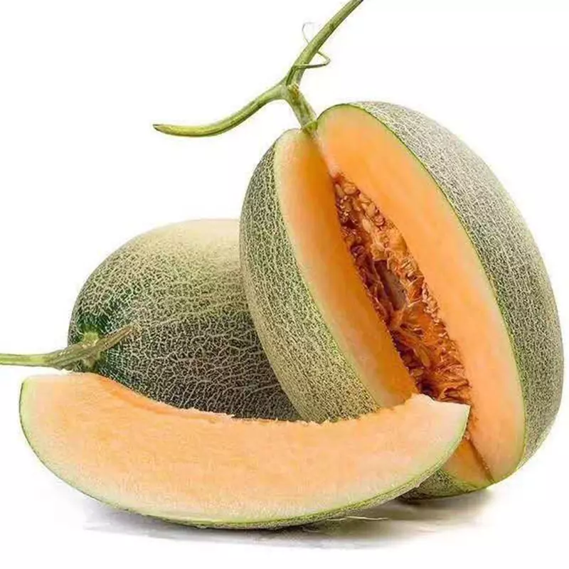 新疆哈密瓜 melón