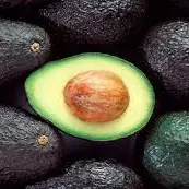 AGUACATE  HASS