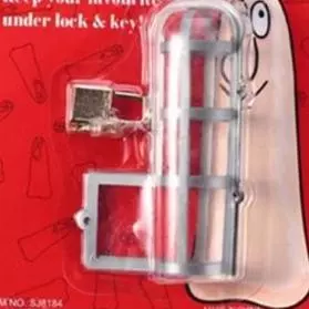 CAPA DE CASTIDADE PECKER