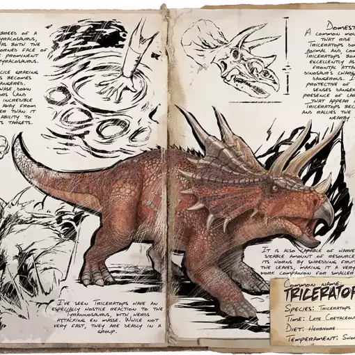 Triceratops