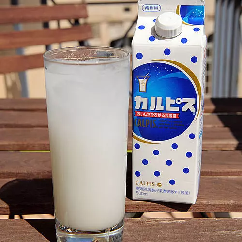 Calpis 500ml