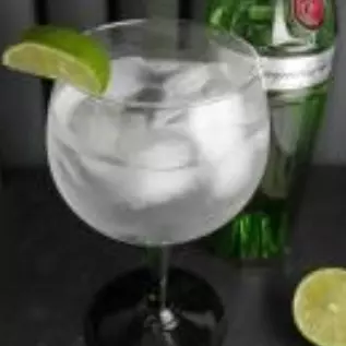 GIN TONIC