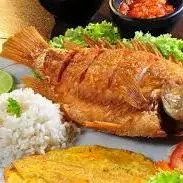 MOJARRA ROJA/RED MOJARRA