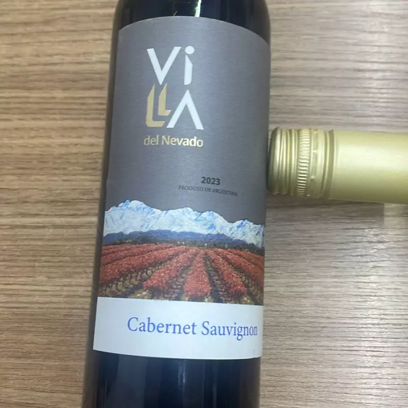 VINA LOS ANDES TORRONTES