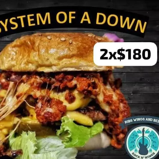 2 x Burger system of down