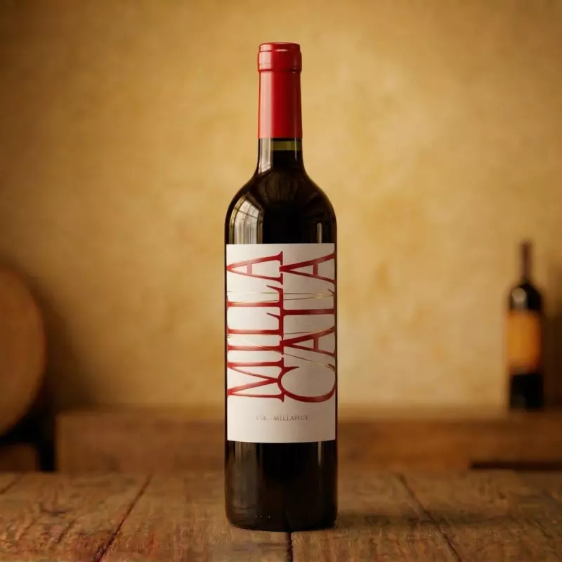 Vinho Vik Milla CalaTinto 🇨🇱