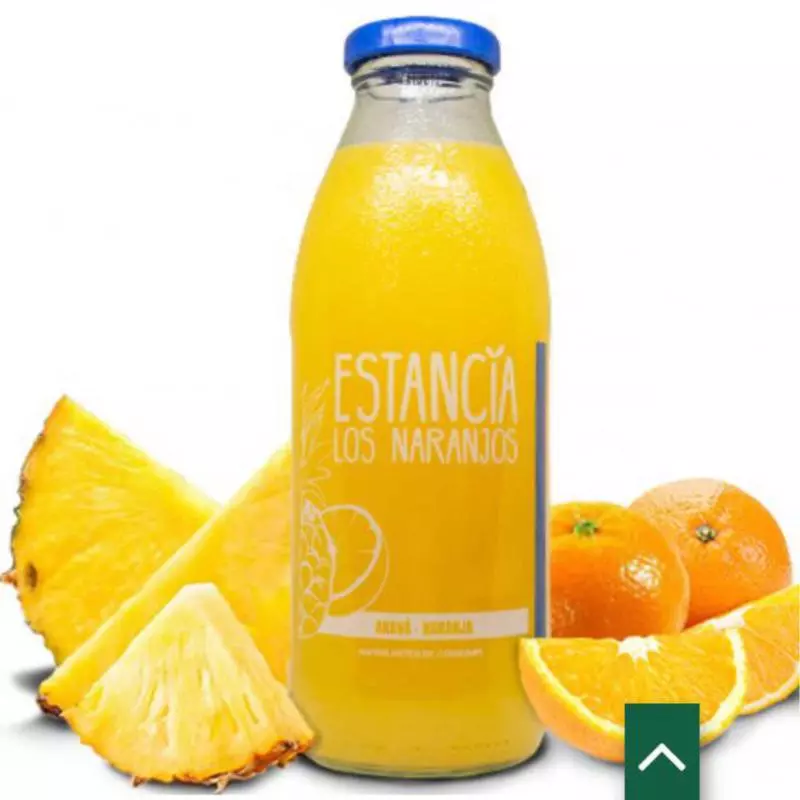 JUGOS NATURALES NARANJA 500 ml
