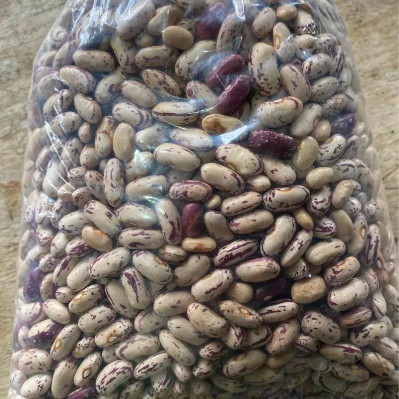 Feijão Cariocão 1 kg (Roseli e Gê)