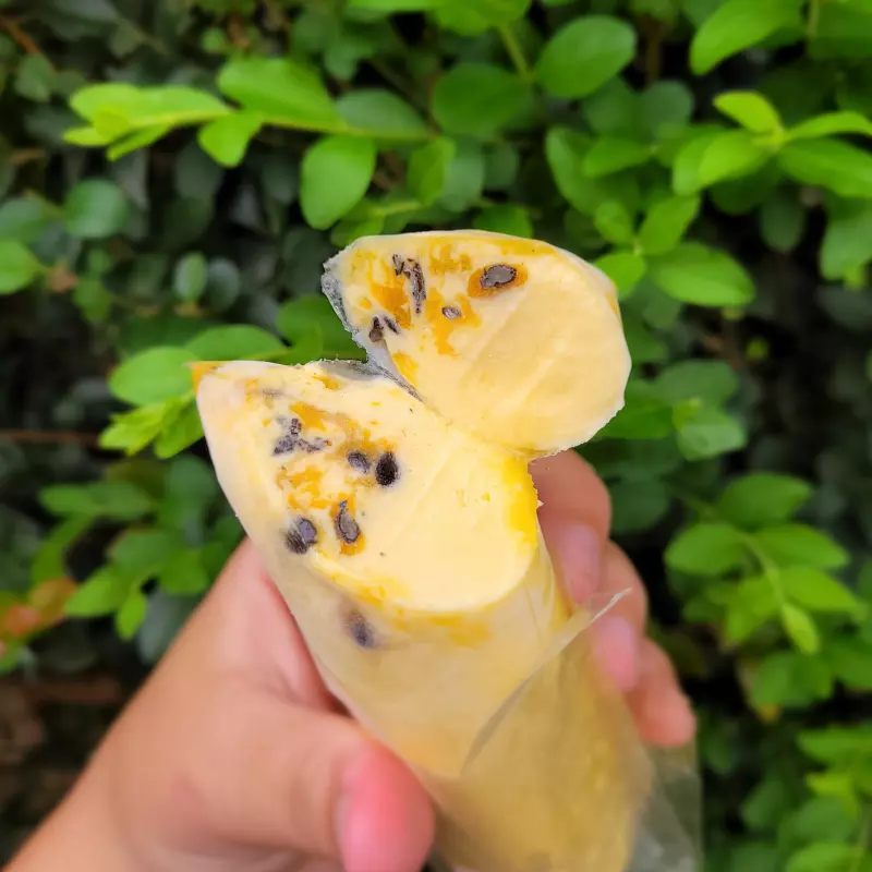 Delícia de Maracujá