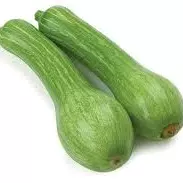 ABOBRINHA BRASILEIRA