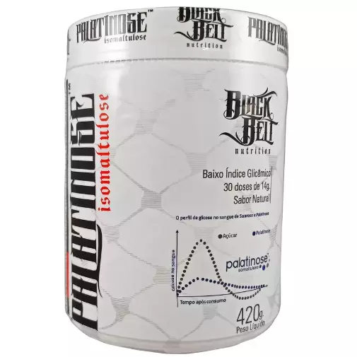 Palatinose 300g Steel