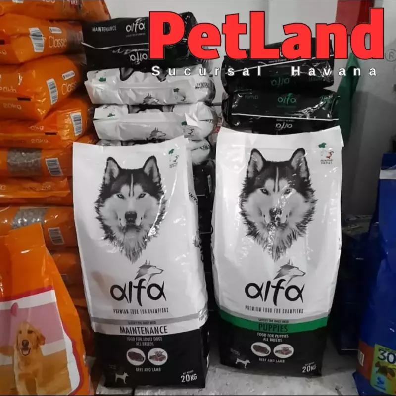 Pienso - Alfa, Adulto, saco 4kg