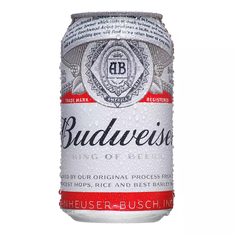 Cerveja Budweiser 350 ml sleek