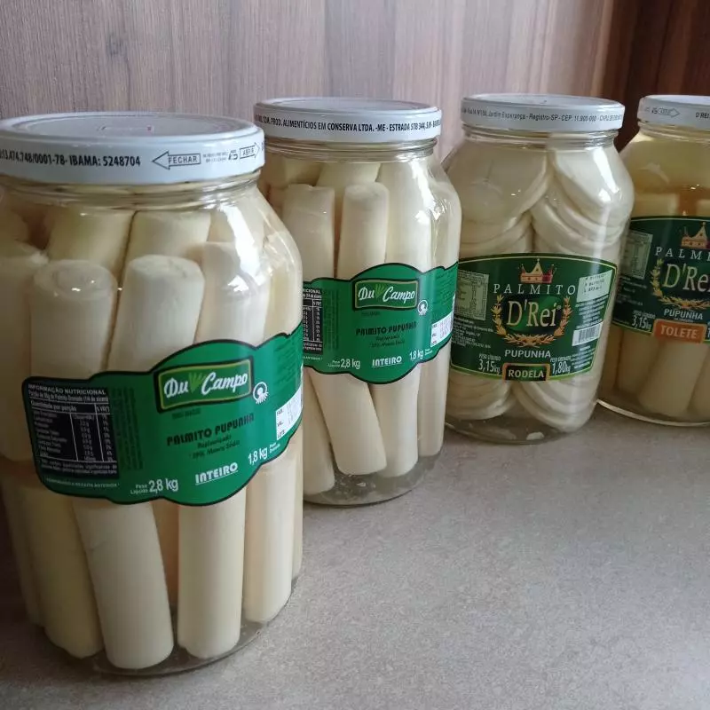 Palmito vidro grande