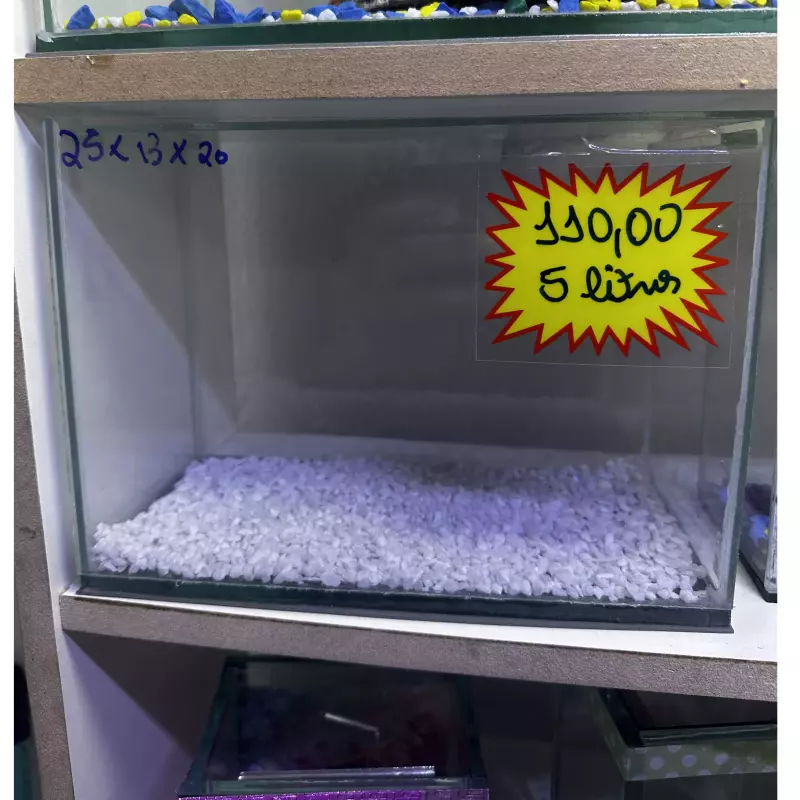 Aquário 25cm