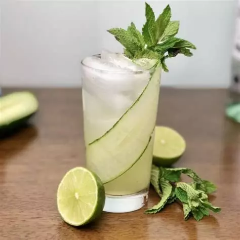 Mojito Pepino 1LT