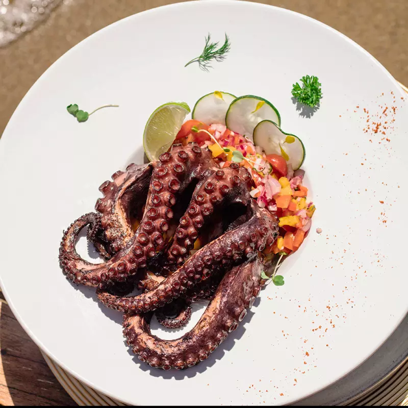 Polvo com molho Criollo