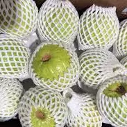 GUAYABA GRANDE 4 UNIDADES