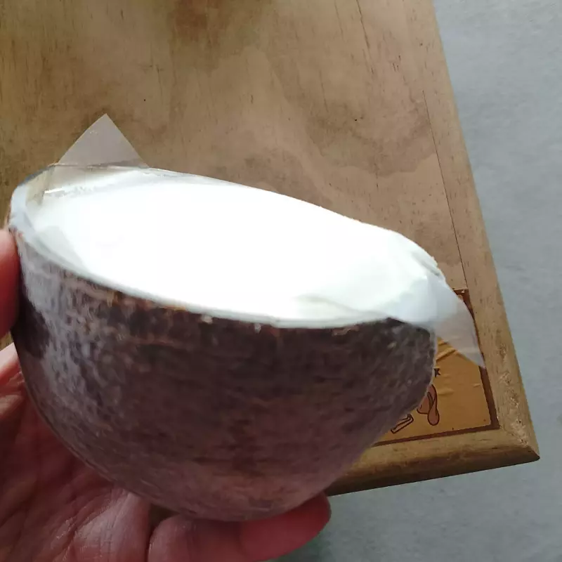 🥥 Nieve de Coco en Cáscara