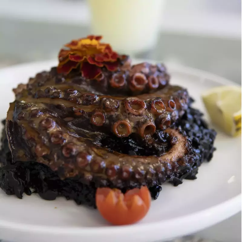 PULPO A LA PARRILLA ARROZ NEGRO