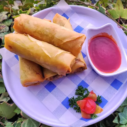 🆕Rollitos primavera 4pz