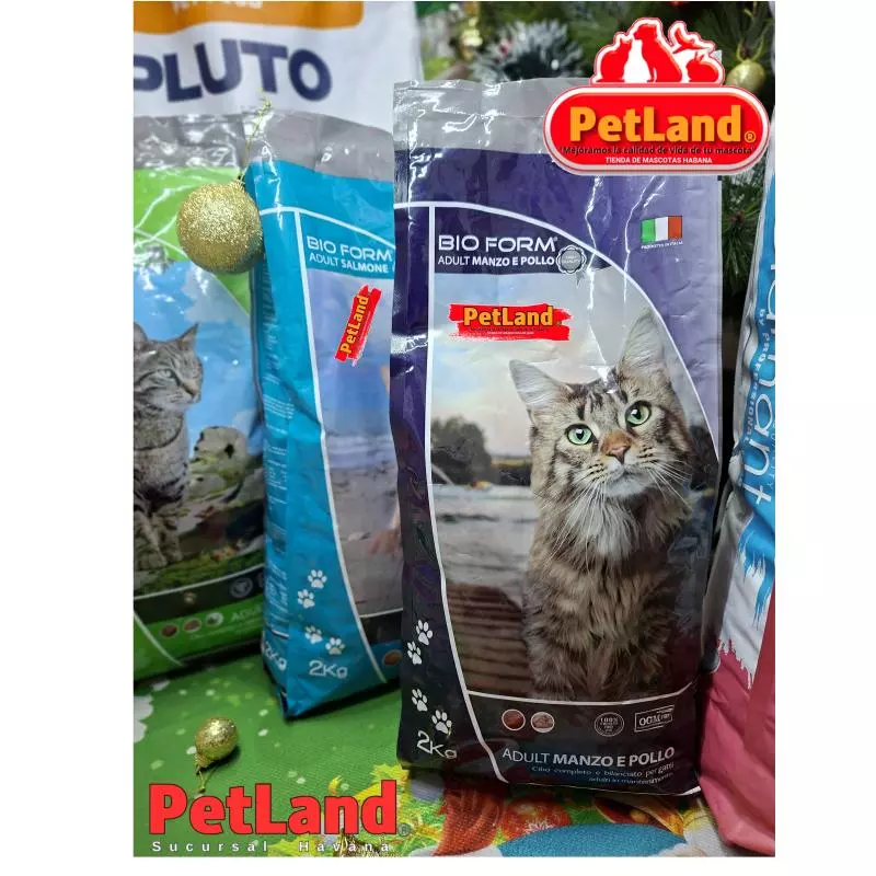Alimento para Gato 2kg Res y pollo