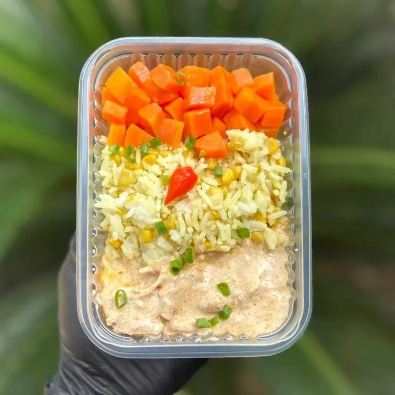 5 - 300G - STROGONOFF DE FRANGO